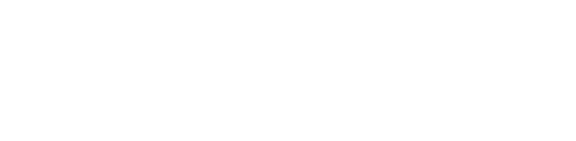 AutoSafetyHub Logo